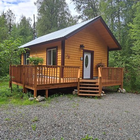 Talkeetna Fireweed Cabin 2别墅 外观 照片